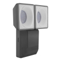 Ledvance - LED Wand Lamp voor Buiten met Sensor SPOT 2xLED/8W/230V IP55