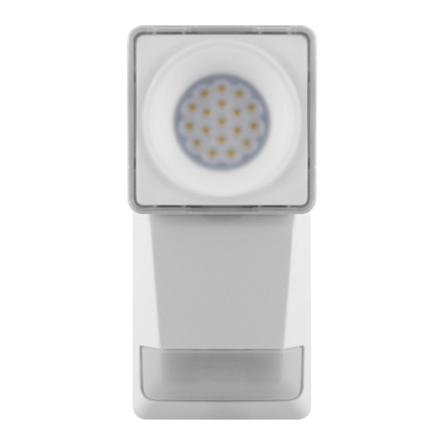 Ledvance - LED Wand Lamp voor Buiten met Sensor SPOT LED/8W/230V IP55 wit