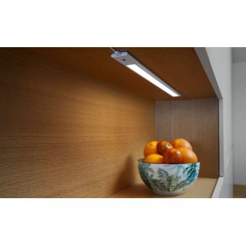 Ledvance - LOT 2x Réglette LED de cuisine à intensité variable avec détecteur CABINET LED/11W/230V 3000K