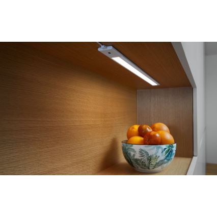 Ledvance - LOT 2x Réglette LED de cuisine à intensité variable avec détecteur CABINET LED/18W/230V