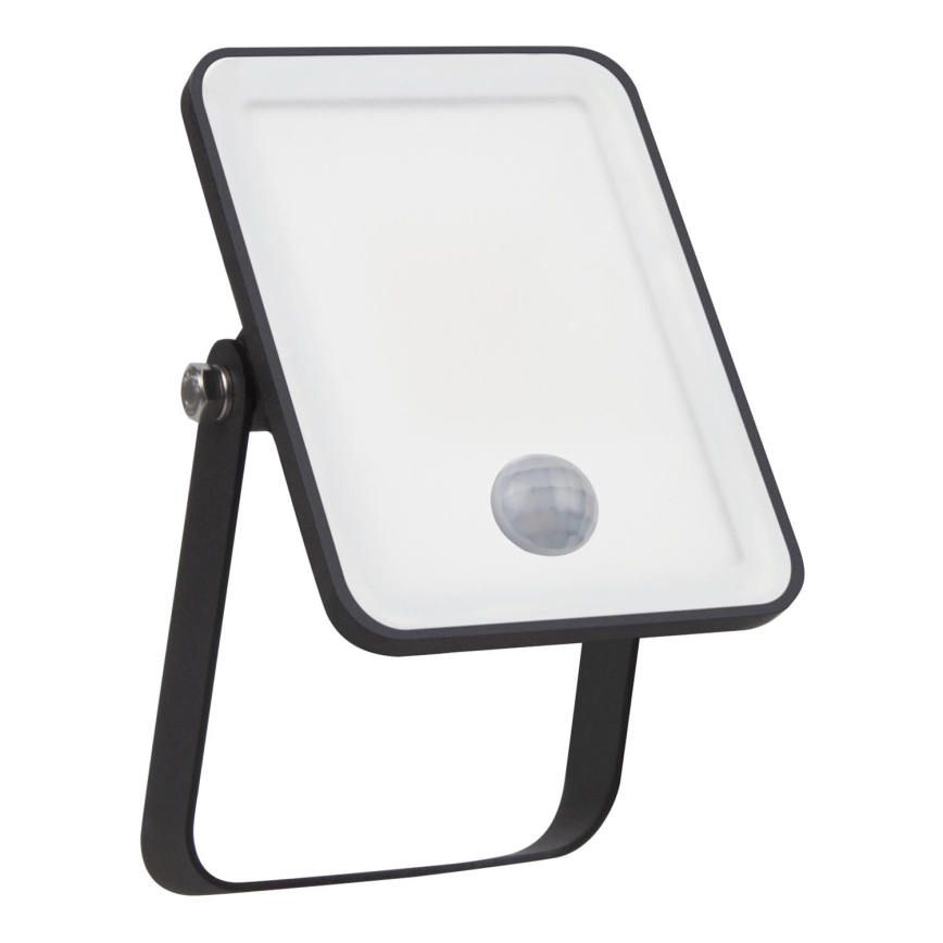 Ledvance - Projecteur extérieur LED avec détecteur FLOODLIGHT LED/10W/230V 4000K IP65