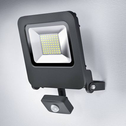 Ledvance - Projecteur LED avec détecteur ENDURA LED/50W/230V IP44