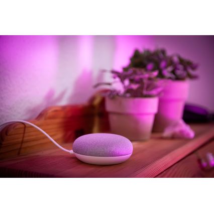 Ledvance - Slimme Luidspreker Google Nest Mini + LED RGBW Dimbare Lamp SMART+E27/10W/230V