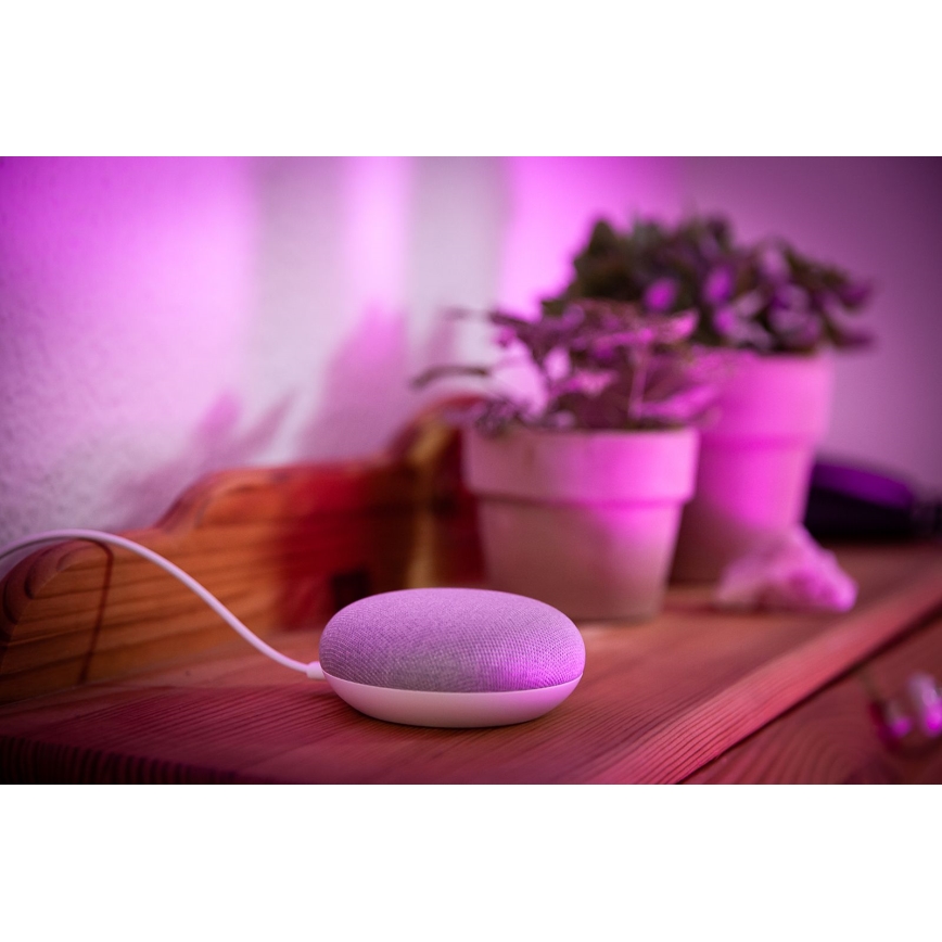 Ledvance - Slimme Luidspreker Google Nest Mini + LED RGBW Dimbare Lamp SMART+E27/10W/230V
