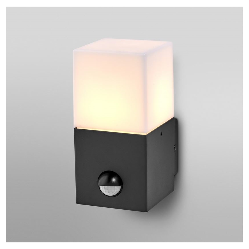 Ledvance - Wandlamp voor buiten met sensor FIGO SQUARE 1xE27/20W/230V
