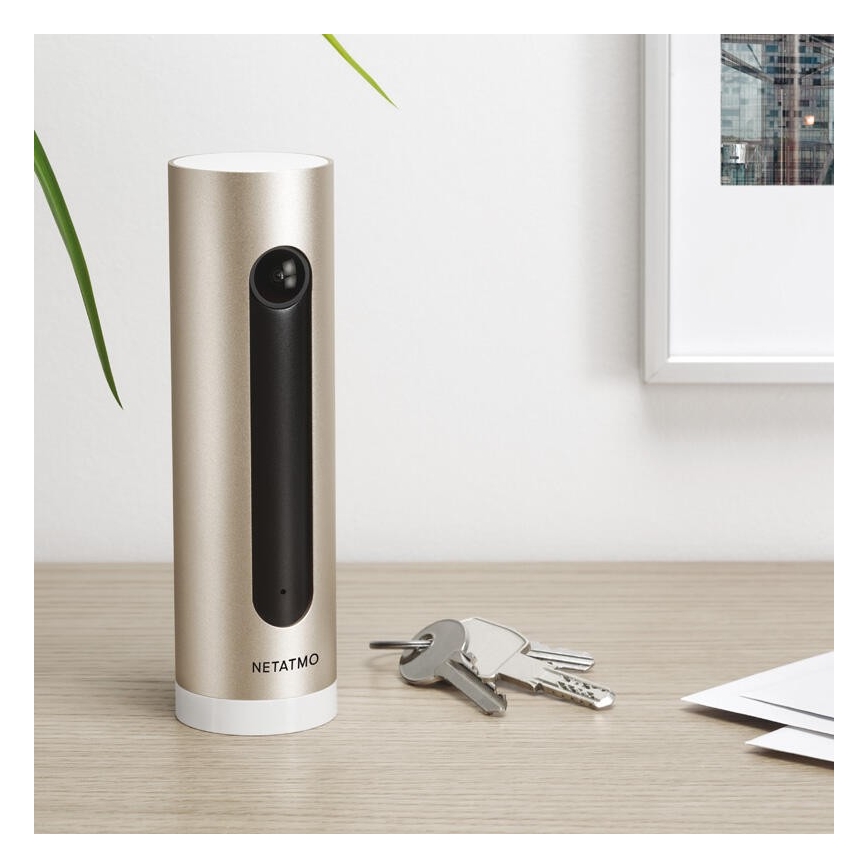 Legrand NSC-PRO - Caméra IP intérieure sans fil Full HD 1080p 5V Wi-Fi