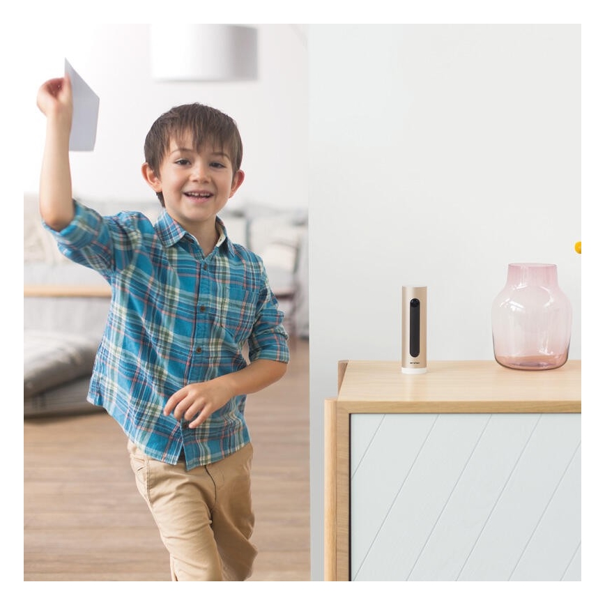 Legrand NSC-PRO - Caméra IP intérieure sans fil Full HD 1080p 5V Wi-Fi