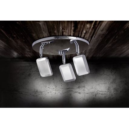 Leuchten Direkt 11243-17 - LED spot WELLA 3xLED/4,2W/230V