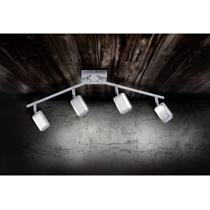 Leuchten Direkt 11244-17 - LED spot WELLA 4xLED/4,2W/230V