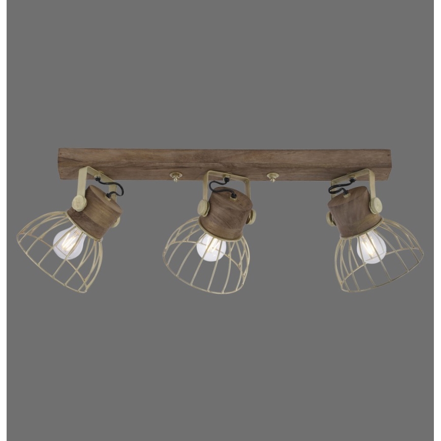 Leuchten Direkt 11488-60 - Spot ALAMI 3xE27/25W/230V mangoboom
