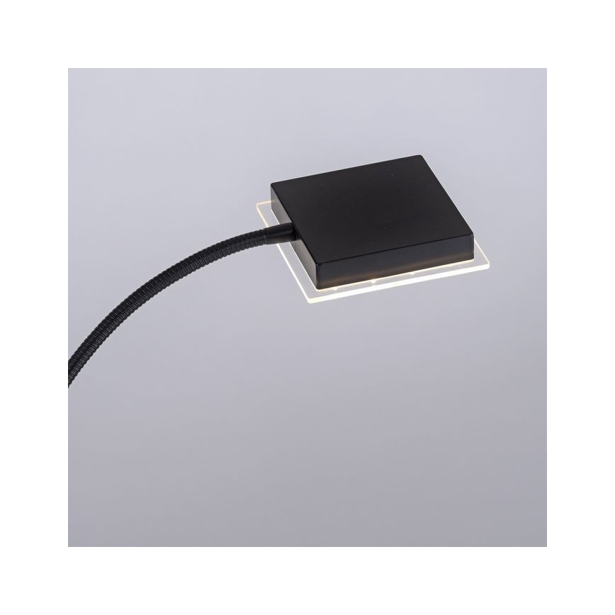 Leuchten Direkt 11710-18 - LED dimbare vloerlamp HANS LED/21,5W/230V + LED/4W