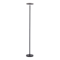 Leuchten Direkt 11729-18 - Lampadaire à intensité variable HANS LED/22W/230V