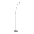 Leuchten Direkt 11938-55 - Lampadaire MAX LED 1xGU10/4W/230V