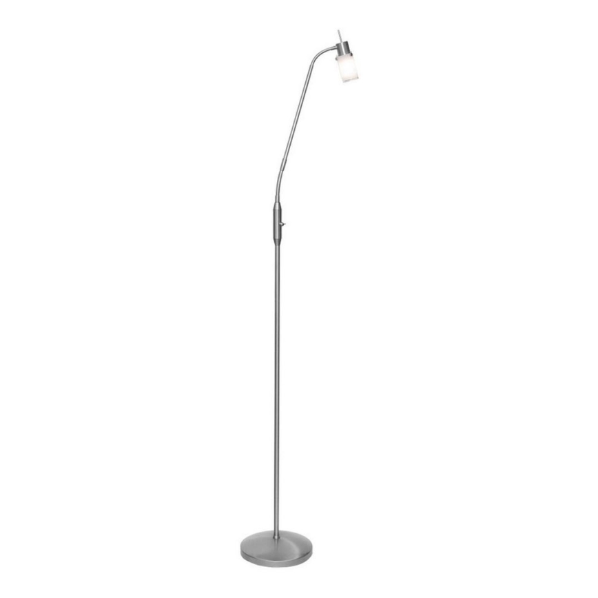 Leuchten Direkt 11938-55 - Lampadaire MAX LED 1xGU10/4W/230V