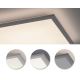 Leuchten Direkt 12200-16 - LED Plafond Lamp FLAT LED/17W/230V