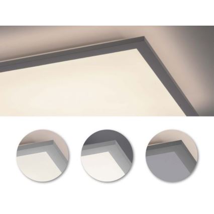 Leuchten Direkt 12204-16 - Plafonnier monté en surface FLAT LED/24W/230V