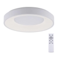 Leuchten Direkt 14326-16 - LED Dimlicht + afstandsbediening ANIKA LED/30W/230V + AB