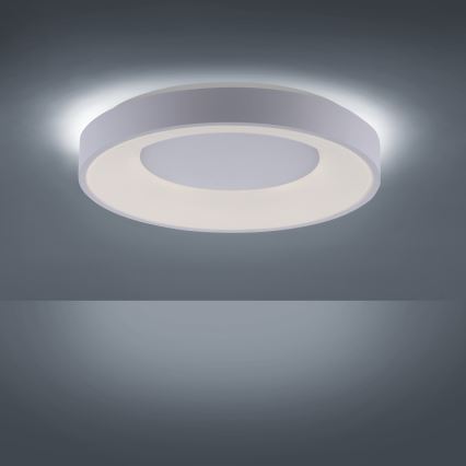 Leuchten Direkt 14326-16 - LED Dimlicht + afstandsbediening ANIKA LED/30W/230V + Afstandsbediening