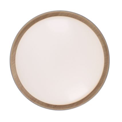 Leuchten Direkt 14347-15 - LED dimbare plafondlamp EMILIA LED/28,8W/230V grijs