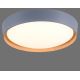 Leuchten Direkt 14347-15 - LED plafondlamp EMILIA LED/28,8W/230V grijs