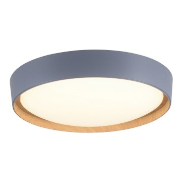 Leuchten Direkt 14347-15 - Plafonnier à intensité variable EMILIA LED/28,8W/230V gris