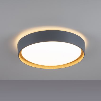 Leuchten Direkt 14347-15 - Plafonnier à intensité variable EMILIA LED/28,8W/230V gris