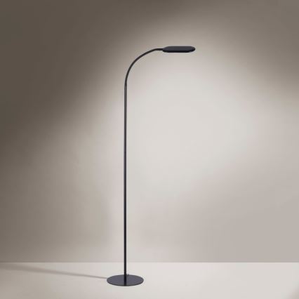 Leuchten Direkt 14406-18 - Lampadaire à intensité variable tactile KELLY LED/7W/230V 3000/4000/6000K