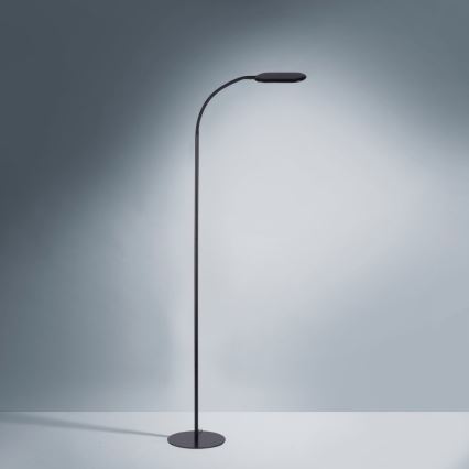 Leuchten Direkt 14406-18 - Lampadaire à intensité variable tactile KELLY LED/7W/230V 3000/4000/6000K