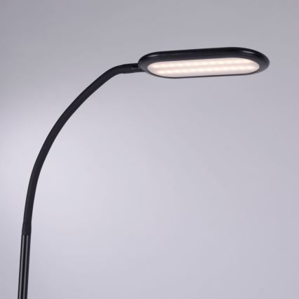 Leuchten Direkt 14406-18 - Lampadaire à intensité variable tactile KELLY LED/7W/230V 3000/4000/6000K