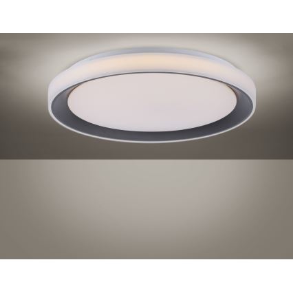 Leuchten Direkt 14659-18 - LED RGB Dimlicht + afstandsbediening LOLA LED/24W/230V Tuya + AB