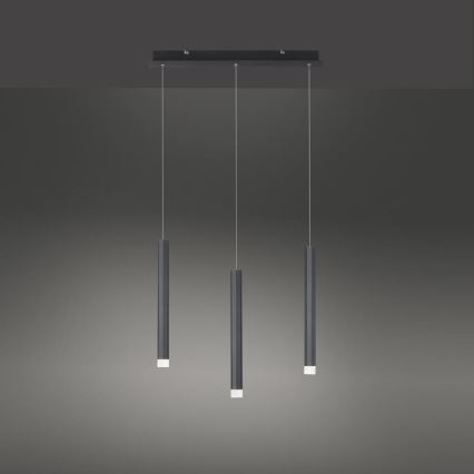 Leuchten Direkt 15203-18 - LED Hanglamp aan een koord 3xLED/4,8W/230V zwart