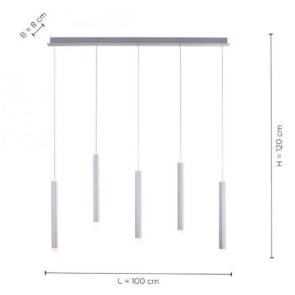 Leuchten Direkt 15205-95 - Suspension filaire BRUNO 5xLED/4,8W/230V