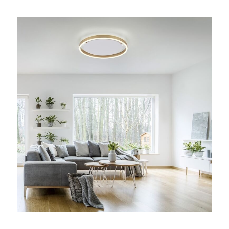 Leuchten Direkt 15391-60 - LED dimbare plafondlamp RITUS LED/20W/230V messing