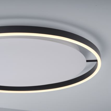 Leuchten Direkt 15392-13 - Plafonnier LED dimmable RITUS LED/28W/230V noir