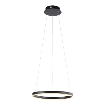 Leuchten Direkt 15393-13 - LED dimbare hanglamp aan kabel RITUS LED/20W/230V zwart