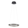 Leuchten Direkt 15393-13 - Suspension LED dimmable sur câble RITUS LED/23,5W/230V noir