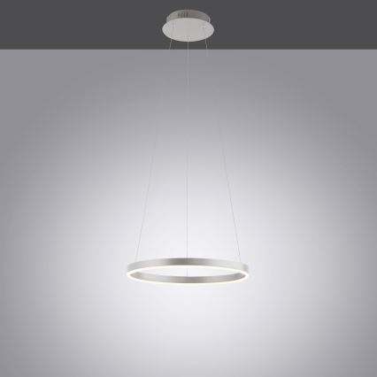 Leuchten Direkt 15393-95 - Dimbare LED hanglamp aan een koord RITUS LED/20W/230V mat chroom