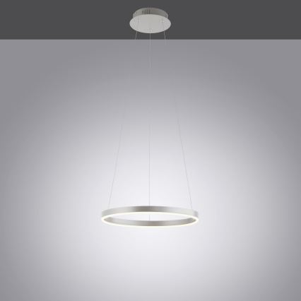 Leuchten Direkt 15393-95- Dimbare LED Hanglamp aan een koord RITUS LED/20W/230V chroom