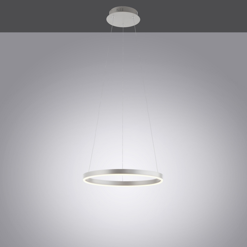 Leuchten Direkt 15393-95 - Dimbare LED hanglamp aan een koord RITUS LED/20W/230V mat chroom
