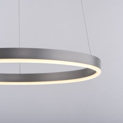 Leuchten Direkt 15393-95 - Dimbare LED hanglamp aan een koord RITUS LED/20W/230V mat chroom