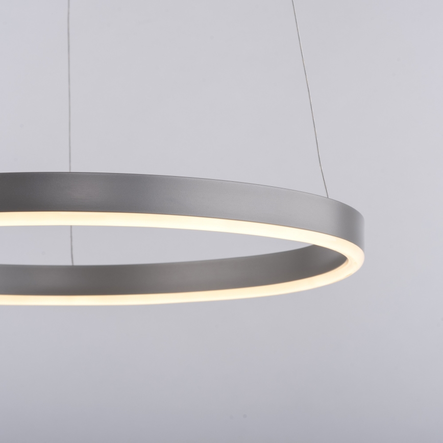 Leuchten Direkt 15393-95 - Dimbare LED hanglamp aan een koord RITUS LED/20W/230V mat chroom