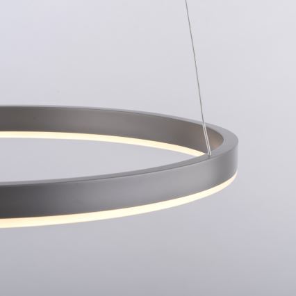 Leuchten Direkt 15393-95 - Dimbare LED hanglamp aan een koord RITUS LED/20W/230V mat chroom