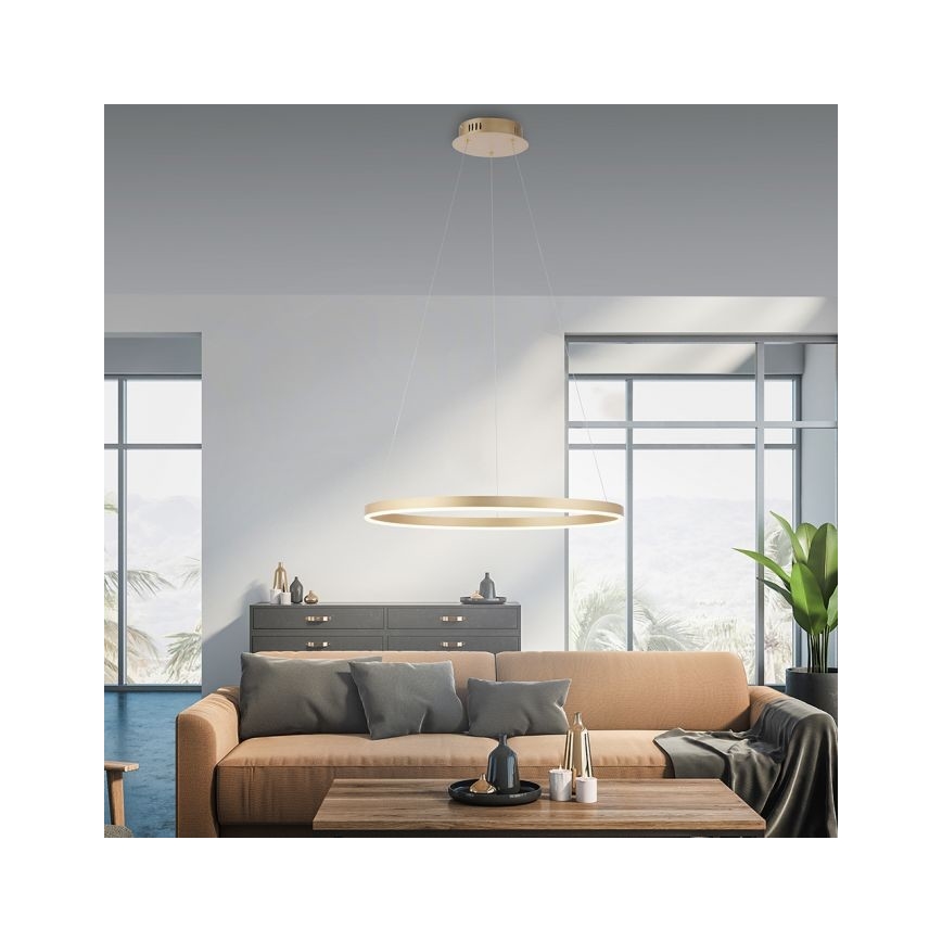 Leuchten Direkt 15394-60 - LED dimbare kroonluchter aan kabels RITUS LED/28W/230V messing