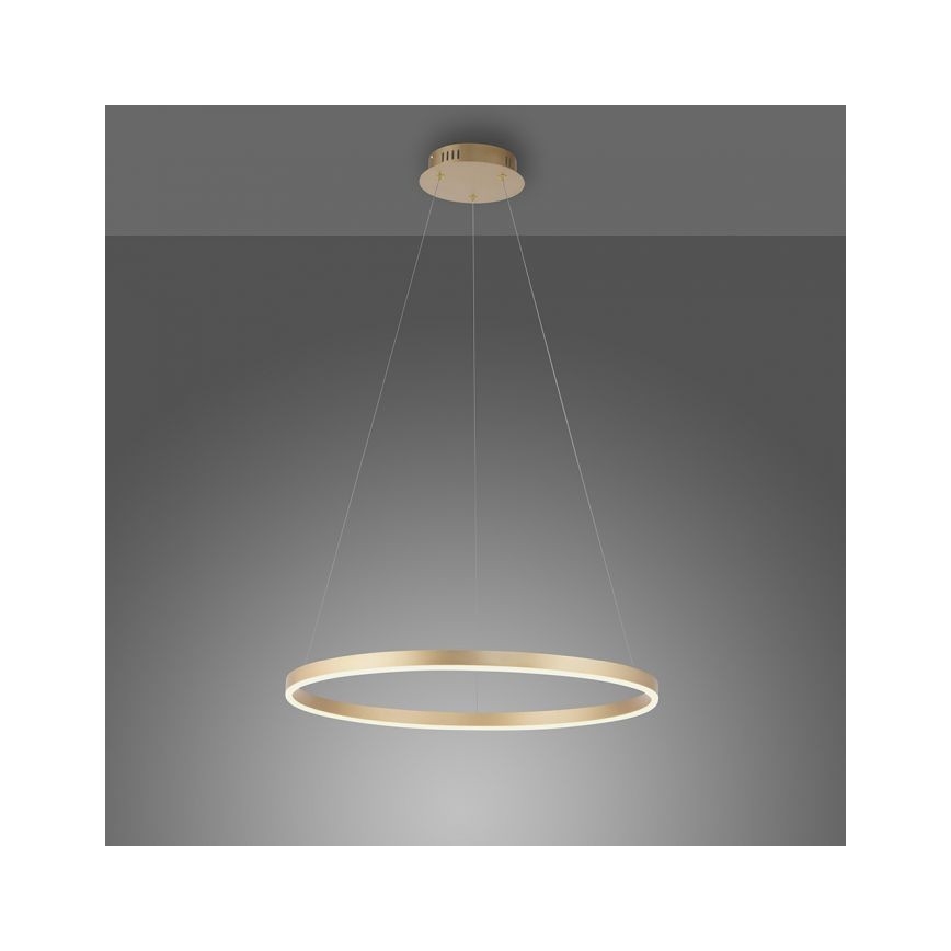 Leuchten Direkt 15394-60 - LED dimbare kroonluchter aan kabels RITUS LED/28W/230V messing