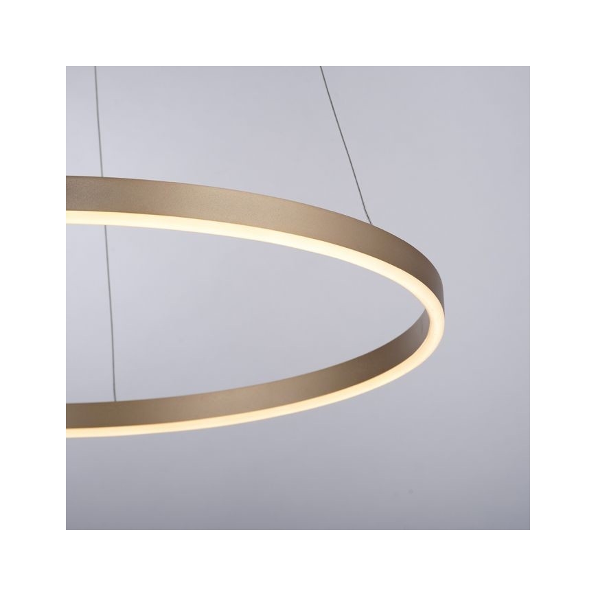 Leuchten Direkt 15394-60 - LED dimbare kroonluchter aan kabels RITUS LED/28W/230V messing