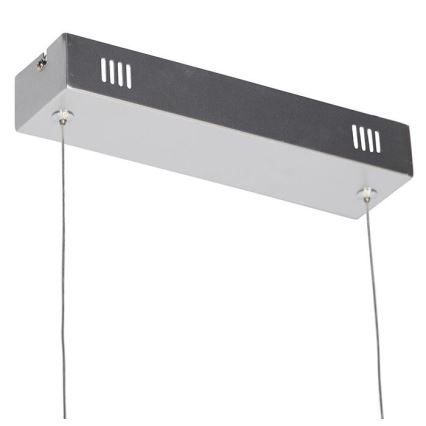 Leuchten Direkt 19033-21 - Lustre LED dimmable sur câble CURLS LED/40,8W/230V