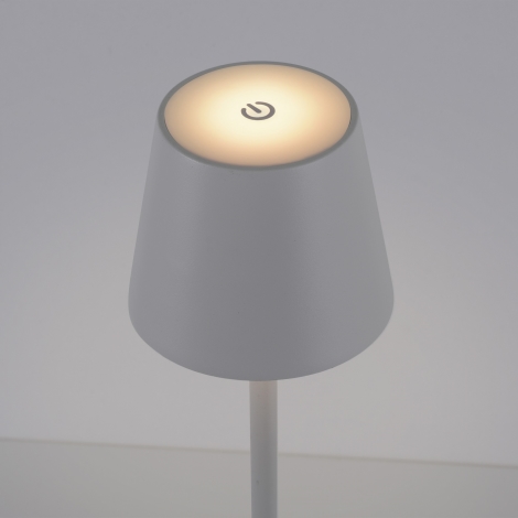 Leuchten Direkt 19250-16-Lampe rechargeable d'extérieur EURIA LED/3W/5V IP54  blanc