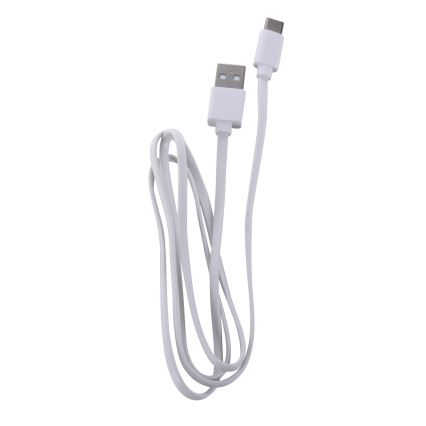 Leuchten Direkt 19250-16 - Lampe de table rechargeable extérieure à intensité variable EURIA LED/3W/5V 2600 mAh IP54 blanc
