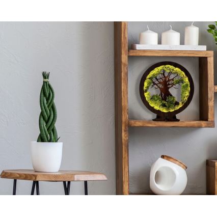 Li-Go 23604/DUB2 - LED-dimbare tafeldecoratie LED/12W/230V 20x22 cm eik/mos en boom