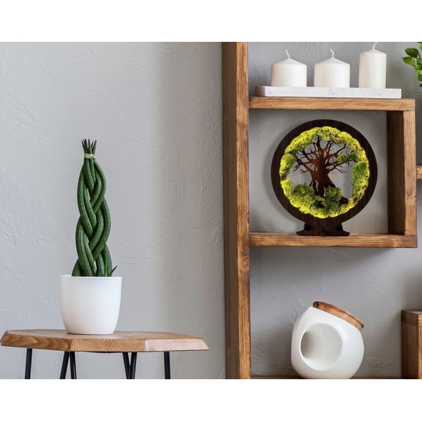 Li-Go 23604/DUB2 - Décoration de table LED dimmable LED/12W/230V 20x22 cm chêne/mousse et arbre